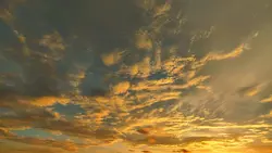 filter senja 