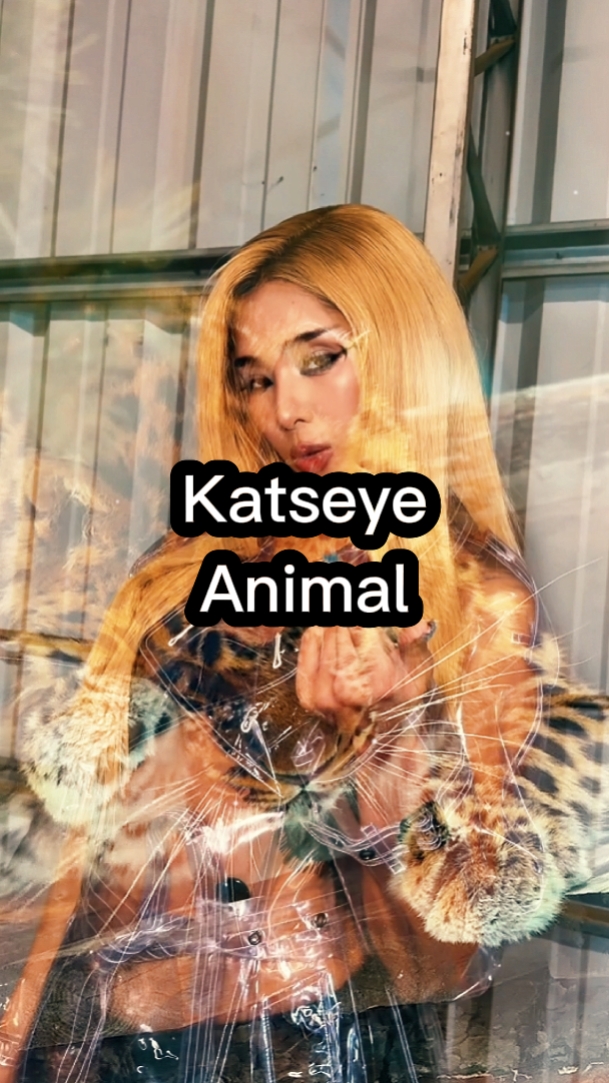 Katseye Animal