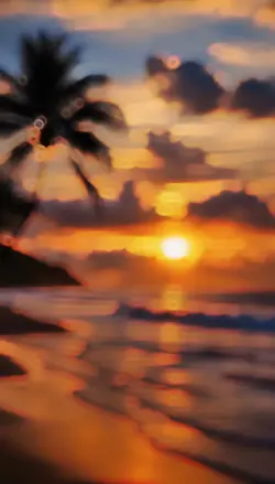 Tropical Sunset