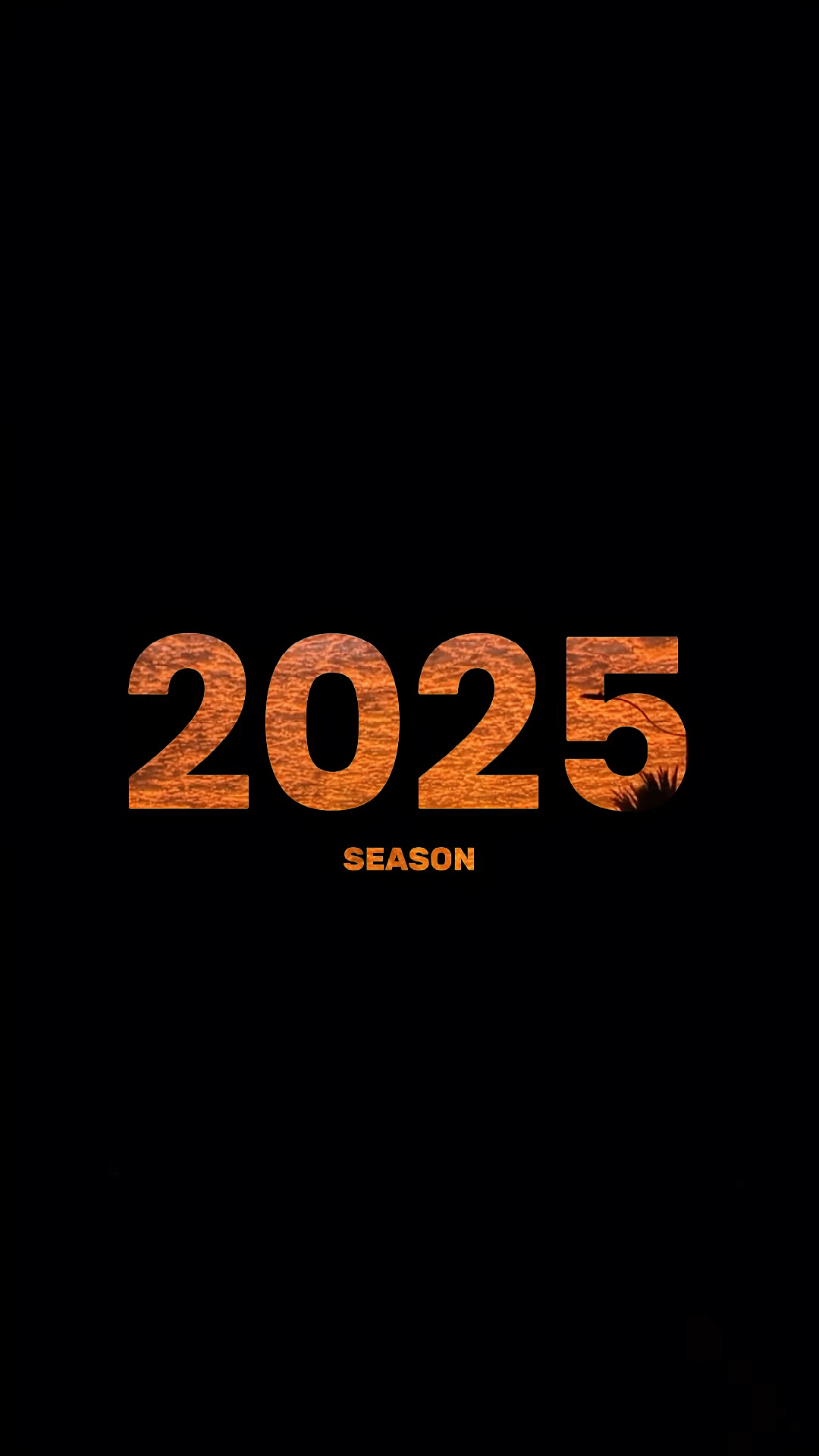 2025 season recap