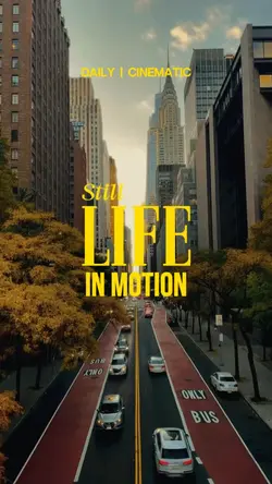 Still life in motion