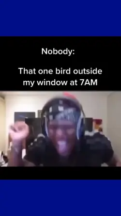 bird