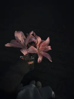 သိမ်းထားခွင့်