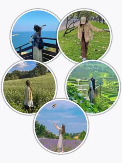 5Pic Frame Aesthetic