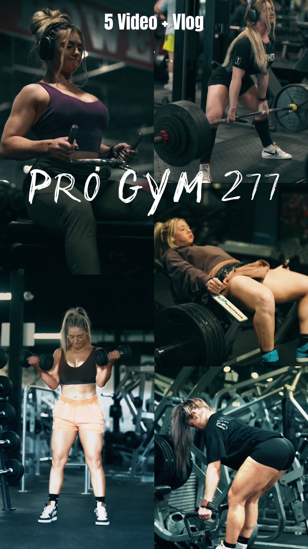 PRO GYM | 5 VIDEO
