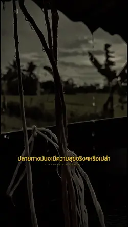 ความสุขระหว่างทาง