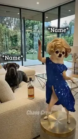 Drunk Doggy