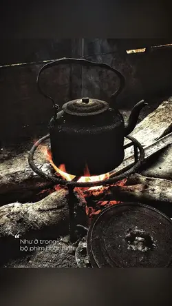 Như ở trong bộ phim