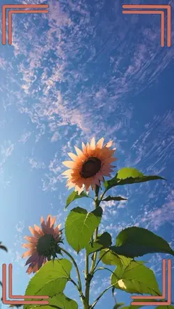 flower vibes