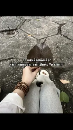 สารเสพติดชนิดเดียว