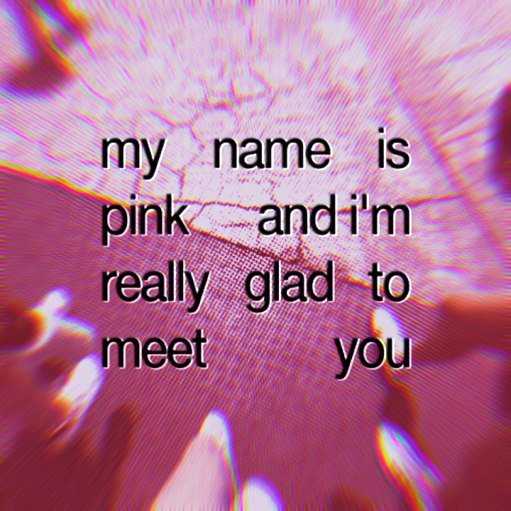 Mi nombre es rosa