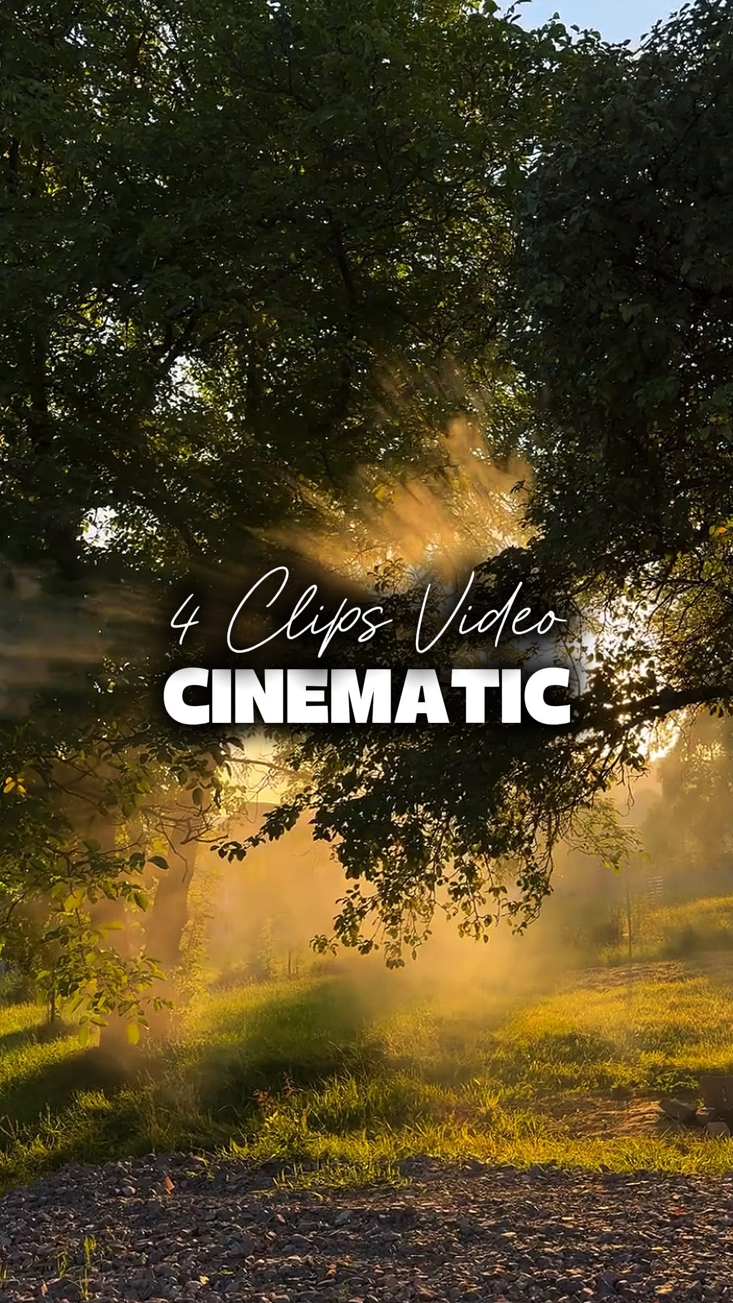 4 Videos Cinematic 