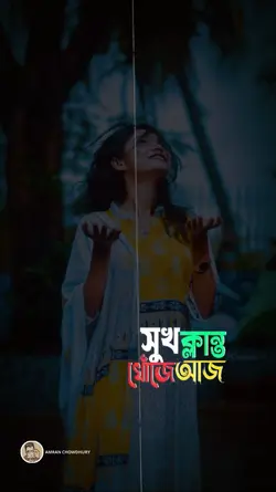 প্রবাসীদের দুঃখ বোঝা