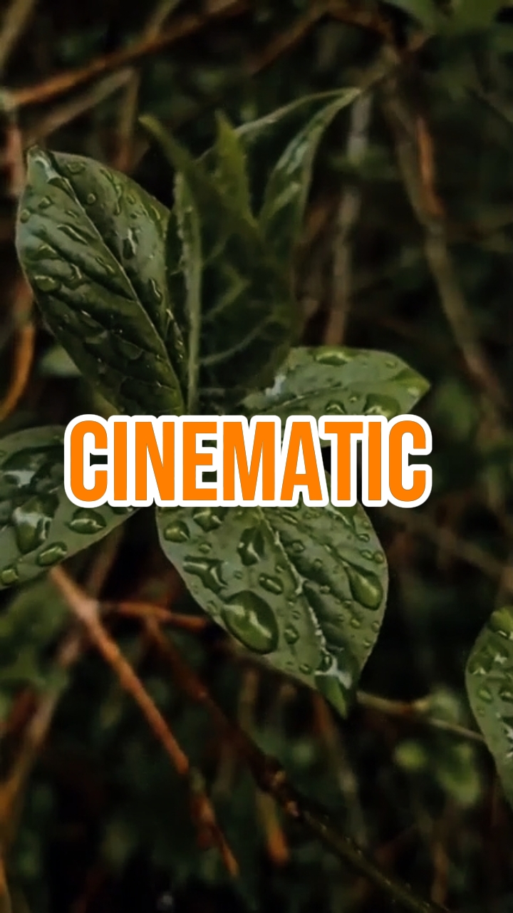CINEMATIC 