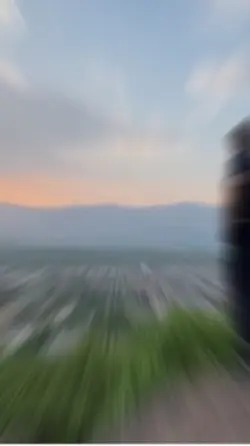 5 Photos Template 🧡💜