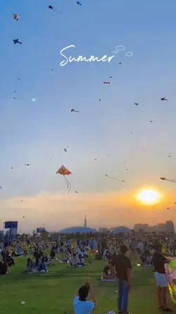 Thả Diều| Summer