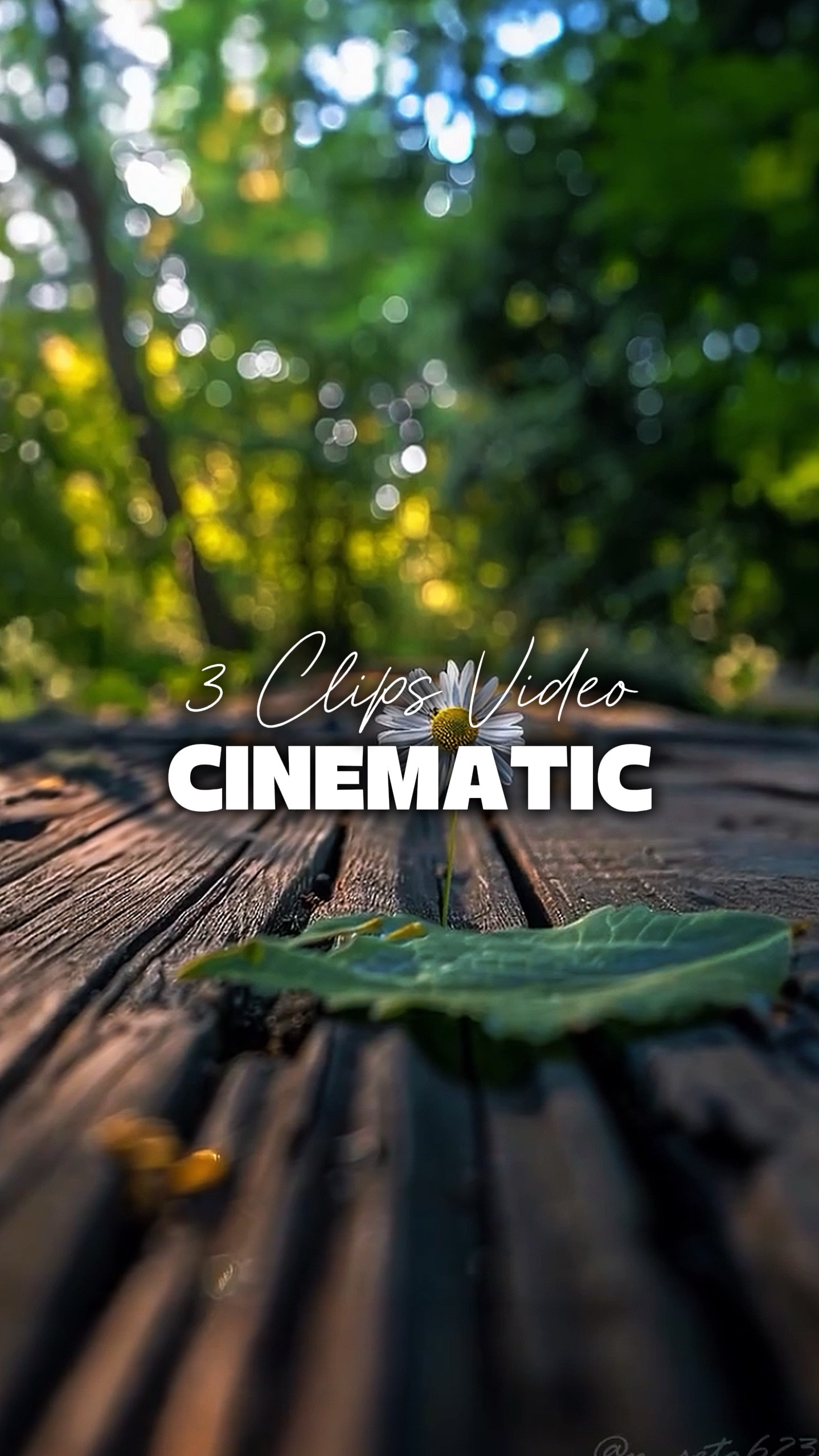 3 Videos Cinematic 