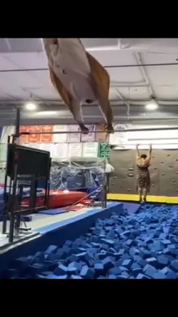 Squirrel Hero