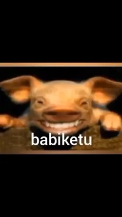 babi ketuu....