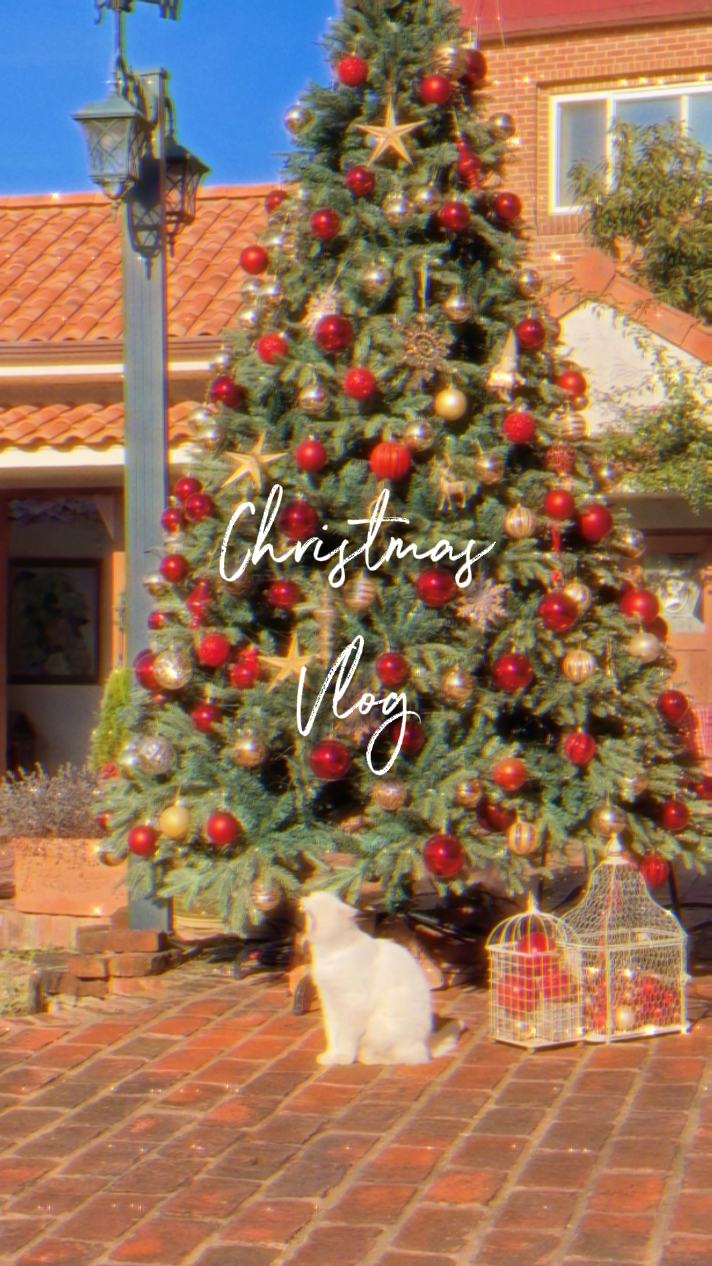 Weihnachts-Vlog 