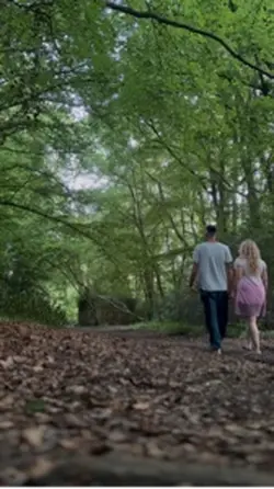 Forest Walk