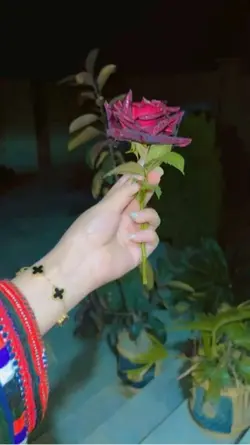 قصه یی هزار و یک شب🤍