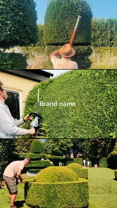 Jardinería
