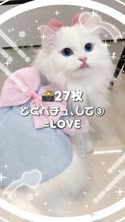 🎵とくべチュ、して③