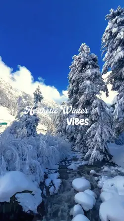 Aesthetic winter vib