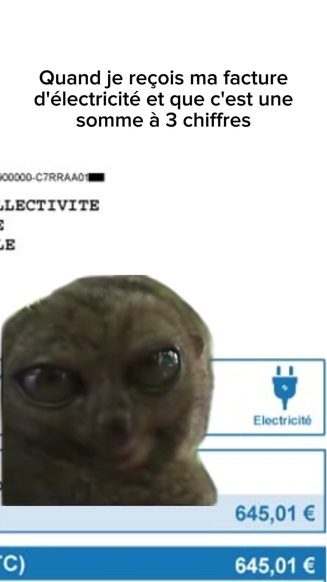 Big eye monkey