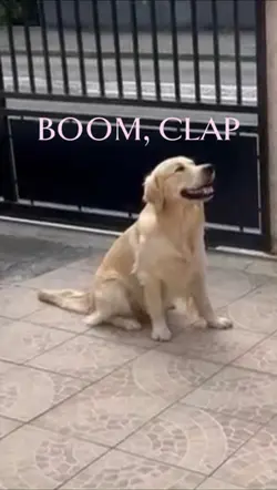 Boom clap❤️🩹