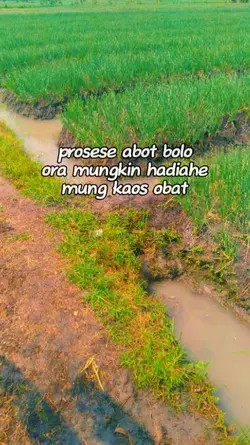 semua butuh proses