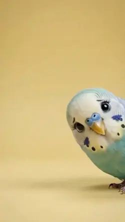 Introdesenho 