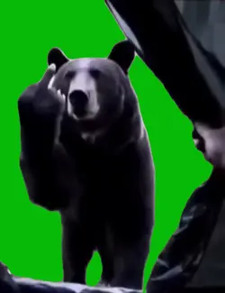 Funny Bear Dance 