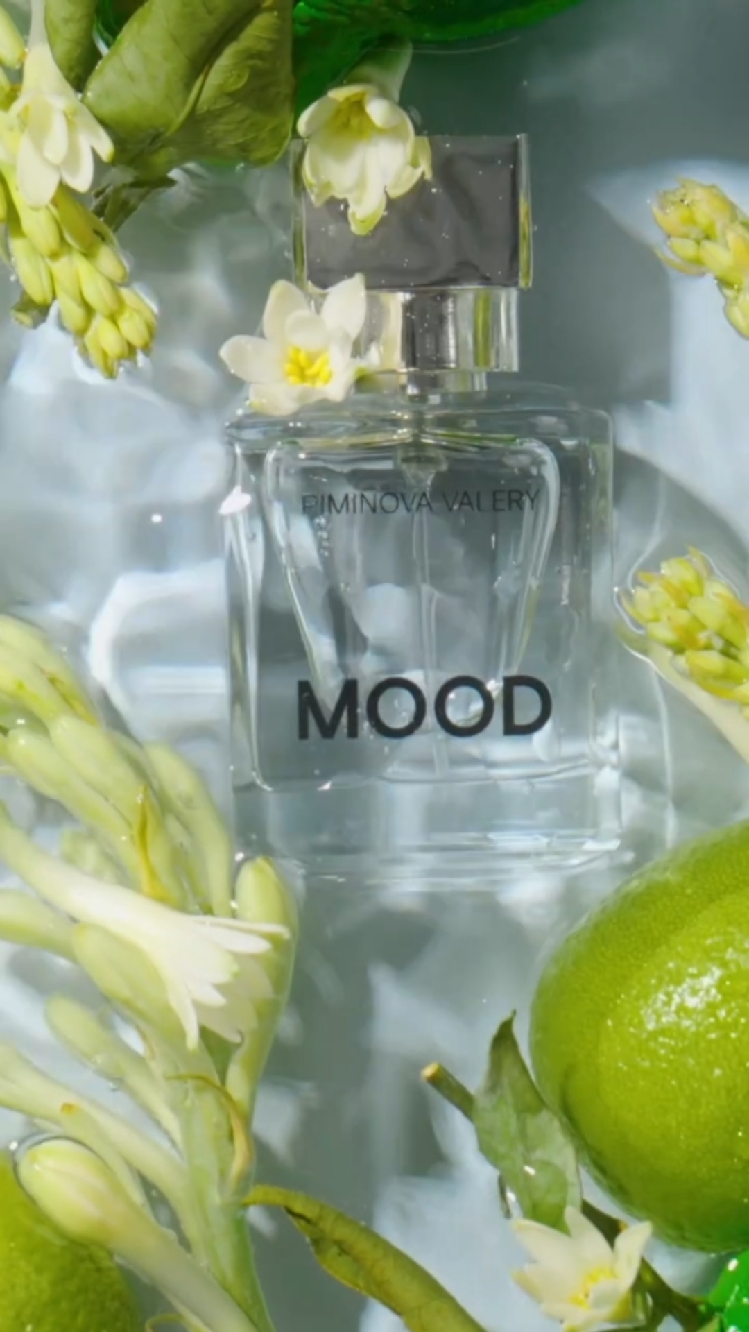 Novo perfume 