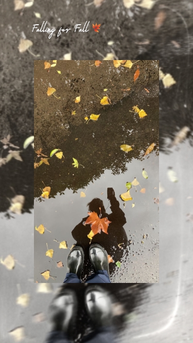 Tomber pour l'automne