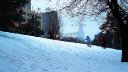 Mistletoe