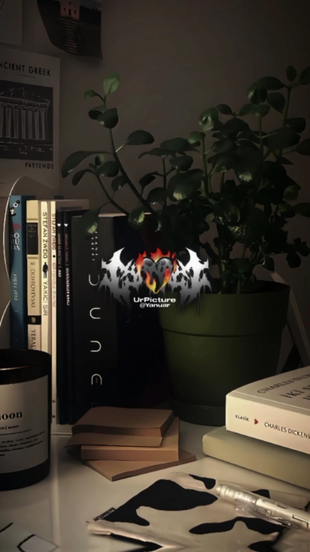 Cover Picture