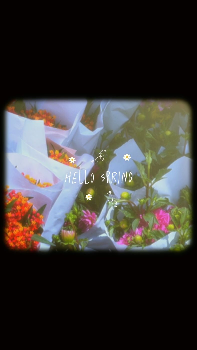 Hallo Frühling