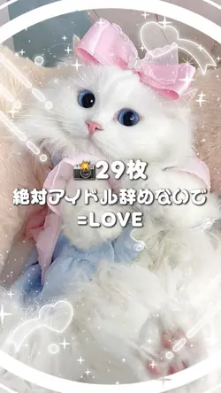 🎵絶対アイドル辞めないで