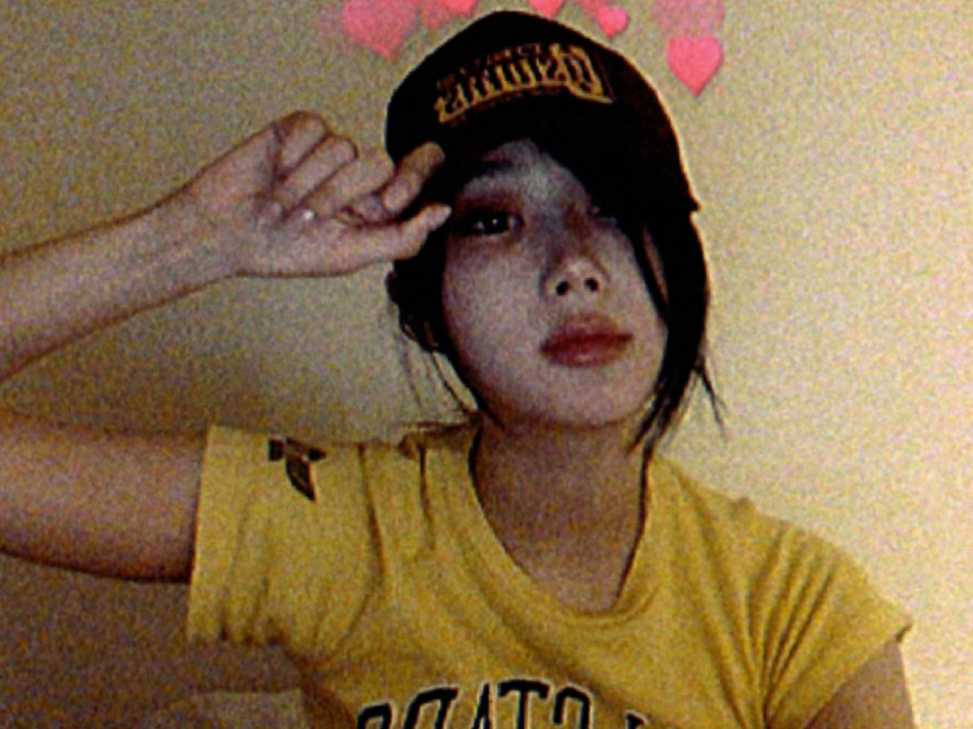 webcam
