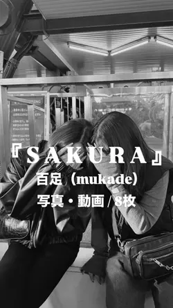 SAKURA￤百足（mukade）
