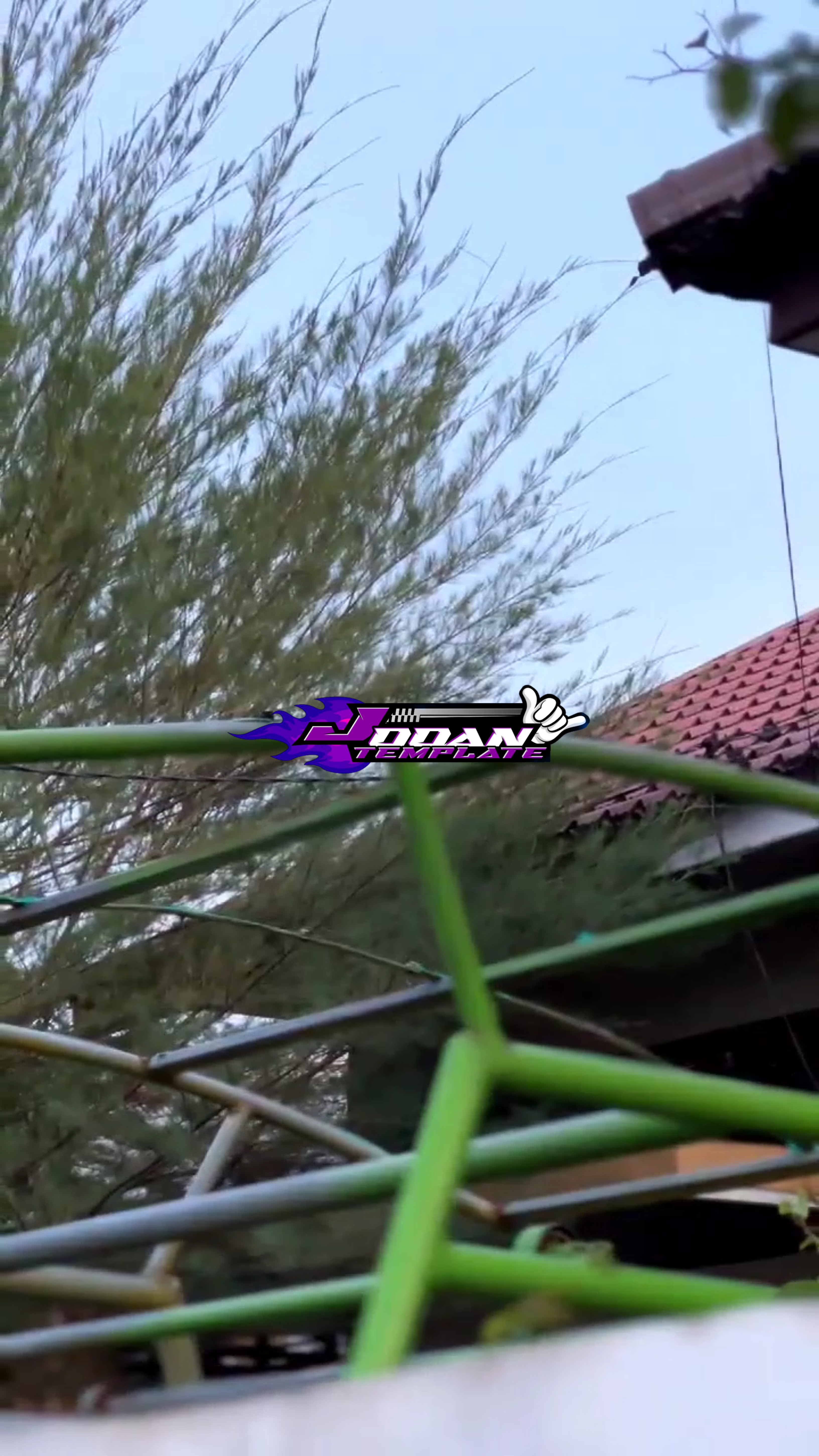 NEW TEMPLATE |||