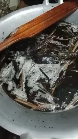 MINYAK BURUNG GUTGUT