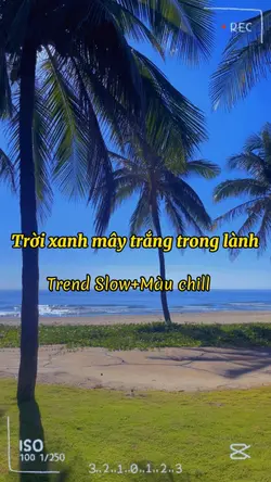 Slow+màu chill
