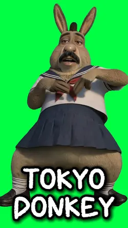 TOKYO SHREK DONKEY