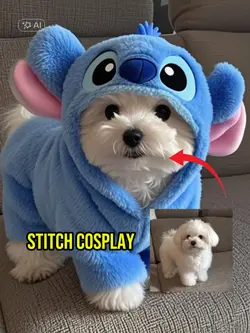 Stitch cosplay 
