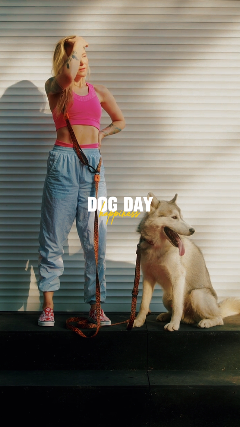 Días de perros
