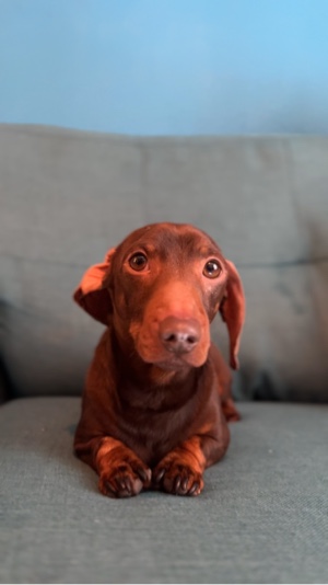 forgot to feed me