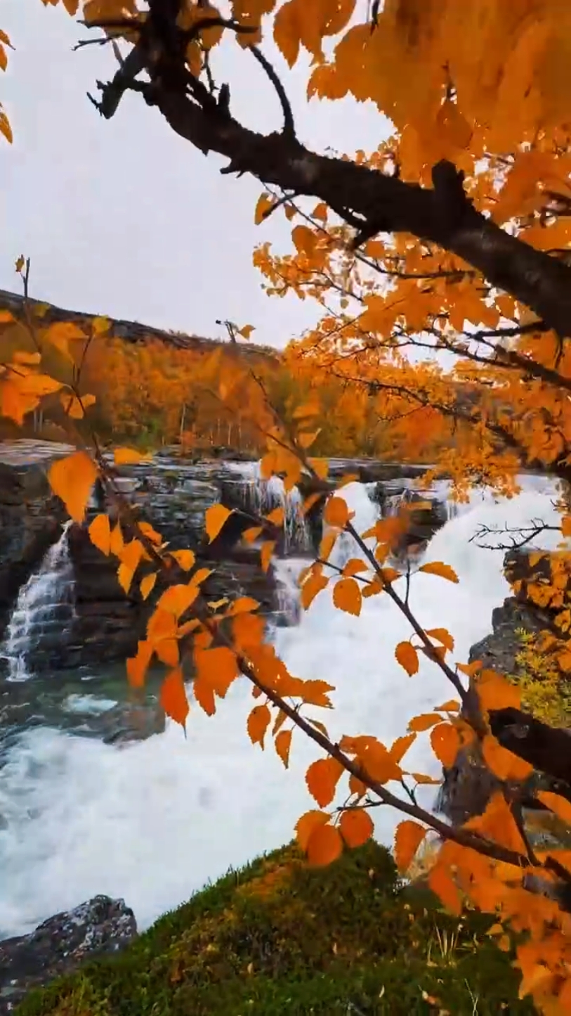 Adventure Autumn